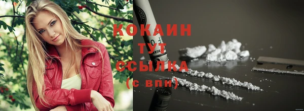 spice Вязники