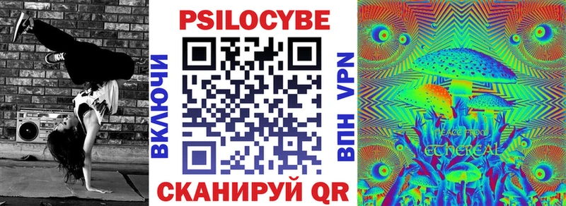Псилоцибиновые грибы Psilocybe Купить Краснокамск